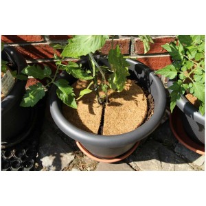Videx Garden Coco-Disc Disco pacciamante (Ø 25 cm) in vaso.