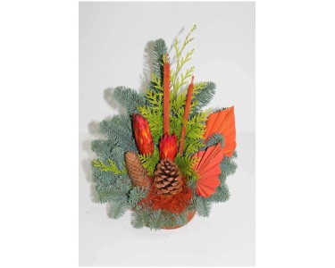 Grabschale Nobilis Orange Ø 25 cm kaufen bei OBI