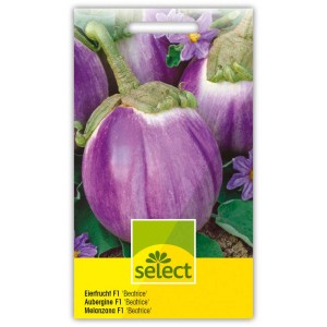 Sachet de graines d'aubergine 'Beatrice' : Aubergine ronde, violet-blanc avec fleur.