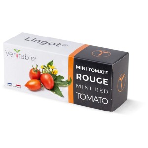 Véritable Lingot Graines Mini Tomate Rouge, pack pour jardin d'intérieur.