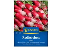 Lattuga Invernale - Set Di Semi Di 5 Varietà Di Piante Vegetali - Foto 2