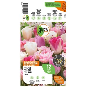 Confezione GROW by OBI Collezione Tulipani 3, 12 bulbi, mostra fiori rosa e bianchi.