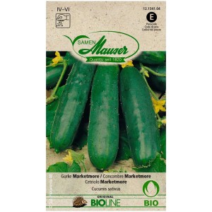 Sachet de graines de concombre bio Marketmore : variété à haut rendement résistante aux maladies pour le jardin.