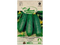 Knospe Bio Gurke Marketmore