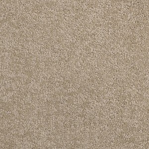 Gros plan : Moquette Andiamo Meryl Vlies crème, au mètre. Texture douce, design uni.