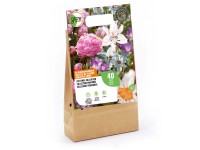 Grow by OBI Duftende Mischung 40 Stk. Grow by OBI Duftende Mischung 40 Stk.