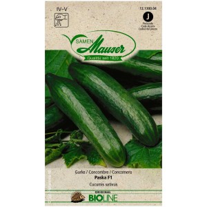 Sachet de graines de concombre Paska F1 Bio, semences Bioline pour pleine terre, variété robuste.