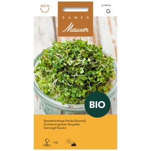 Graines de roquette en verre : Roquette bio pour graines germées.