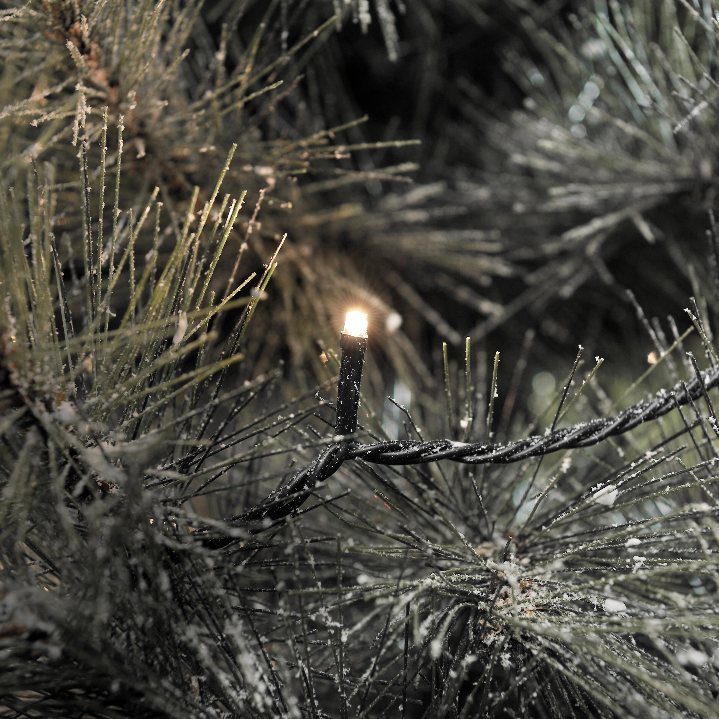 Konstsmide Guirlande lumineuse à pile LED 80 LED Blanc chaud