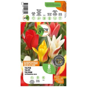 GROW by OBI Kaufmanniana bulbi di tulipano misti, 8 pz. Tulipani rossi, gialli, bianco-rossi sulla confezione.