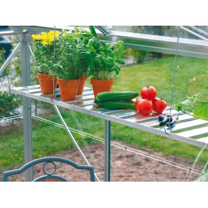 Scaffale pieghevole in alluminio da 120 cm in serra con piante, pomodori e cetrioli.