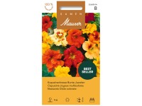 Kapuzinerkresse Bunte Juwelen Kapuzinerkresse Bunte Juwelen