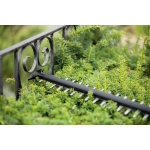 Taille-haie sans fil Bosch Universal Hedge Cut 18-55 en utilisation sur une haie.