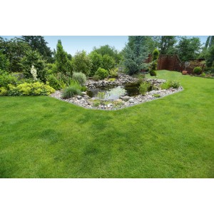 Bassin de jardin avec filet de bassin 5x4m pour protéger des feuilles et des saletés.