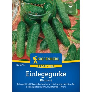 Graines de cornichons Kiepenkerl Diamant F1 : Cornichons frais, verts et sachet de graines.