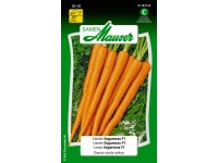 Karotte Sugarsnax  F1
