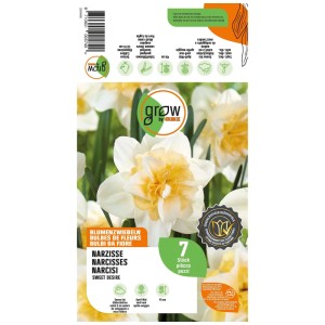 GROW by OBI Narzisse Sweet Desire, weiß-gelb, 7 Blumenzwiebeln auf der Packung. Ideal für den Garten.