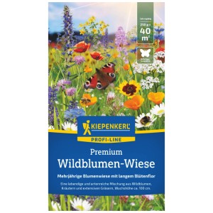 Kiepenkerl Prairie fleurie Profi-Line, 0,25 kg : Sachet de mélange de fleurs colorées pour une prairie fleurie.