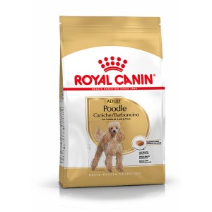 Royal Canin Poodle Adult cibo secco per cani Barbone, confezione da 1,5 kg.
