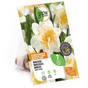 GROW by OBI Narzisse Sweet Desire Blumenzwiebeln, 7 Stück. Packung mit weiss-gelben Narzissenblüten und Zwiebeln.