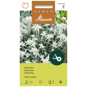 Sachet de graines d'Edelweiss : Fleur alpine Leontopodium alpinum pour le jardin.