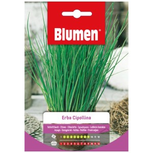 Sachet de graines de ciboulette Mauser avec des tiges vertes.