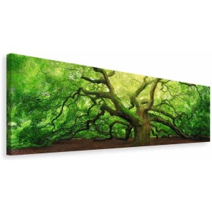 Quadro Deco Block con motivo quercia, 40x118 cm. Albero con foglie verdi.