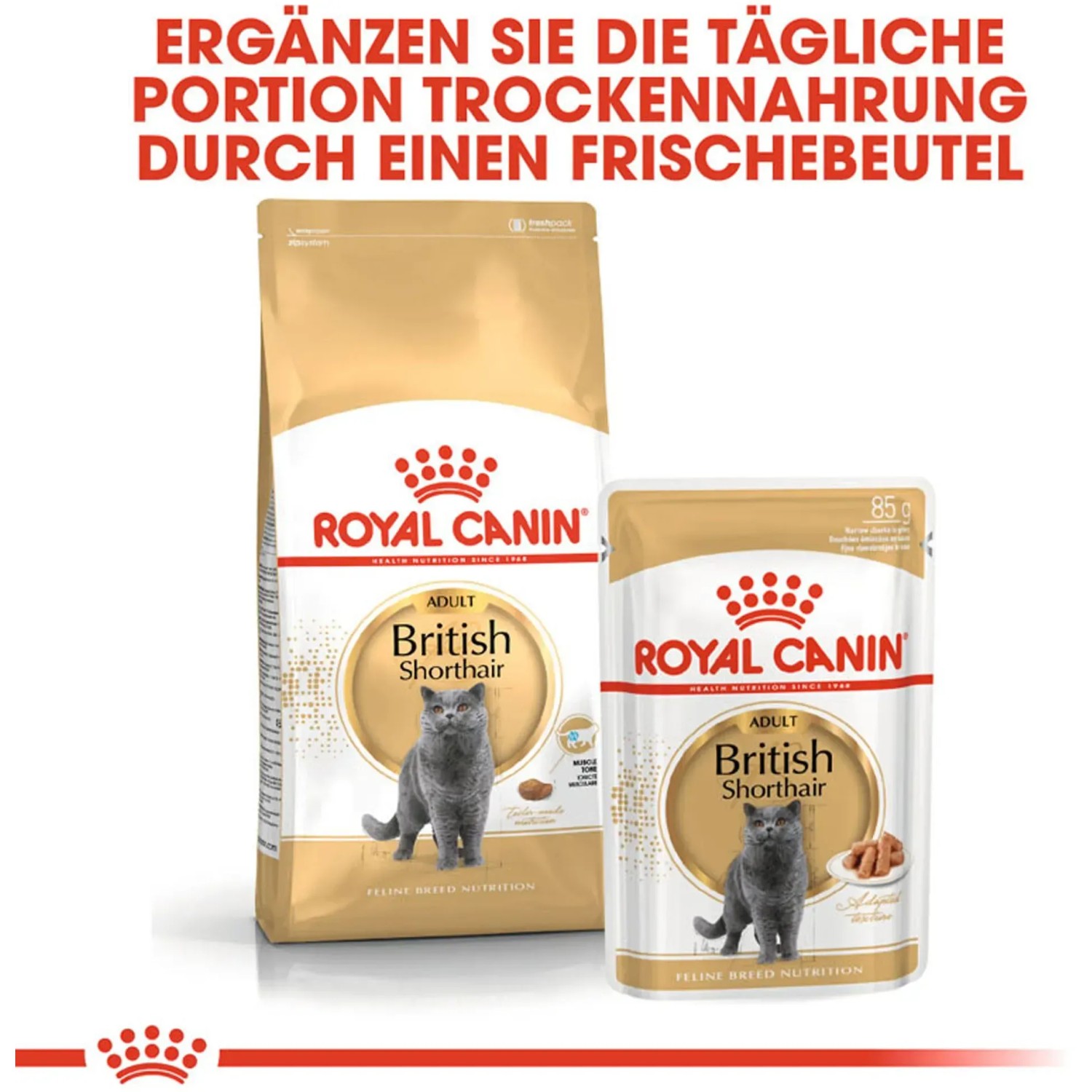 Royal Canin British Shorthair Katzenfutter Trocken Britisch Kurzhaar 4 kg