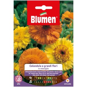 Sachet de graines de souci à grandes fleurs (Calendula officinalis) jaune et orange.