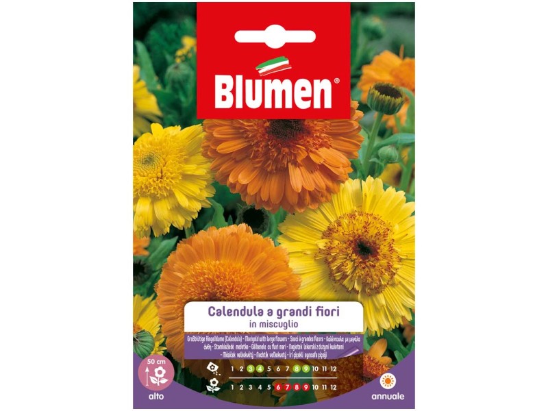 Blumen Mix Grossblütige Ringelblume Calendula officinalis kaufen bei OBI