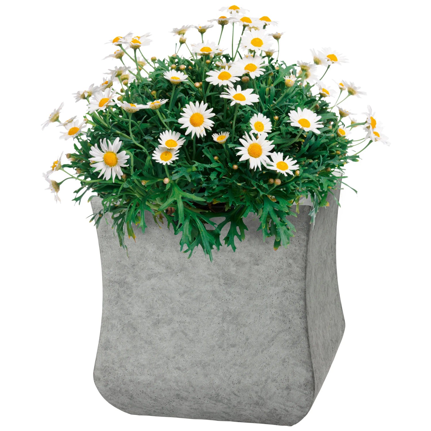 Pflanztopf La Rochelle eckig Grau (HxBxT) 24 x 24 x 24 cm