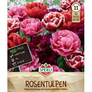 Sperli Rosentulpen-Mischung: Rosa-rote, gefüllte Tulpen als Blumenzwiebeln für Beet und Vase.