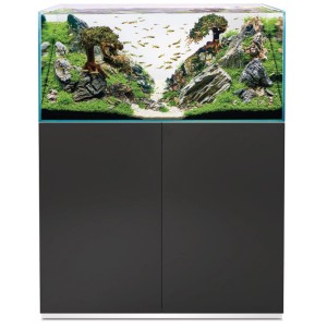 Oase Aquarium-Set Scaperline 100 Noir avec meuble et design aquascaping.