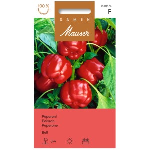 Sachet de graines de poivrons Bell : Poivrons rouges et carrés sur la plante.