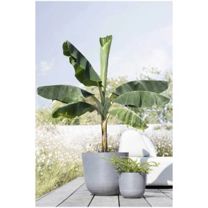 Pot de fleurs gris Ecopots Oslo (Ø 45cm) avec bananier dans le jardin.