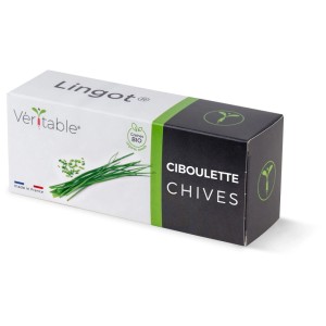 Véritable Lingot confezione di semi di erbe aromatiche biologiche di erba cipollina per giardini interni.