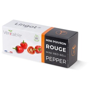 Véritable Lingot Semences Mini Poivron Rouge Bio pour jardins d'intérieur.