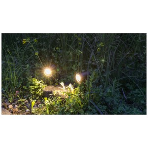 Faretti LED GardenLine, set da 2, per la distribuzione di energia all'aperto. Faretti neri illuminano il giardino.
