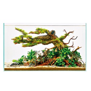 Aquarium Oase ScaperLine 60, 73 l, avec décoration aquascape et plantes.