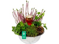 Zinkschale bepflanzt mit Grablicht Schale Ø 22 cm