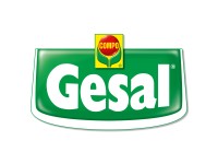 Gesal