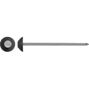 Clous pour panneaux légers 3,1 mm x 50 mm Acier galvanisé à chaud 1 kg