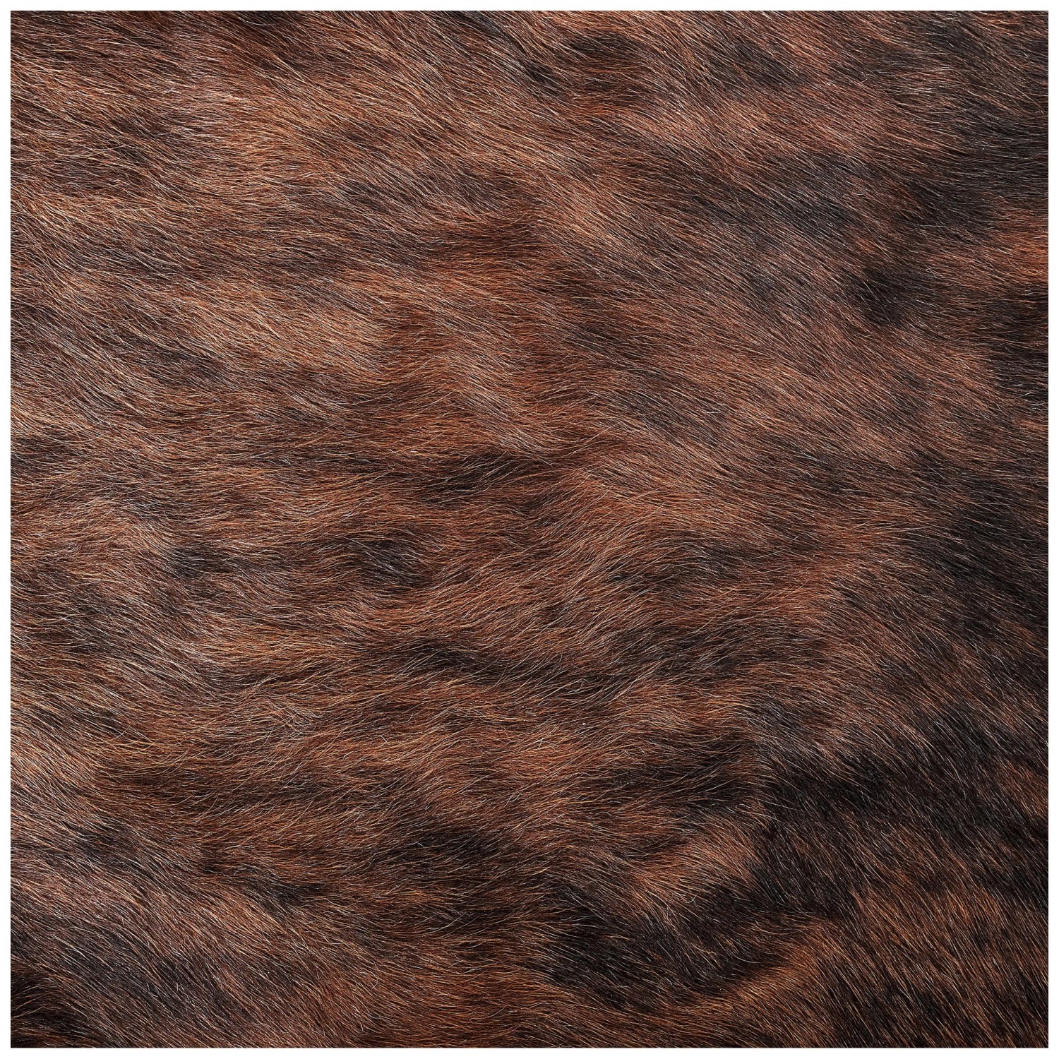 Grand Tapis En Peau De Vache Véritable Beliani – Taille 3x4 M, Forme Difforme Marron