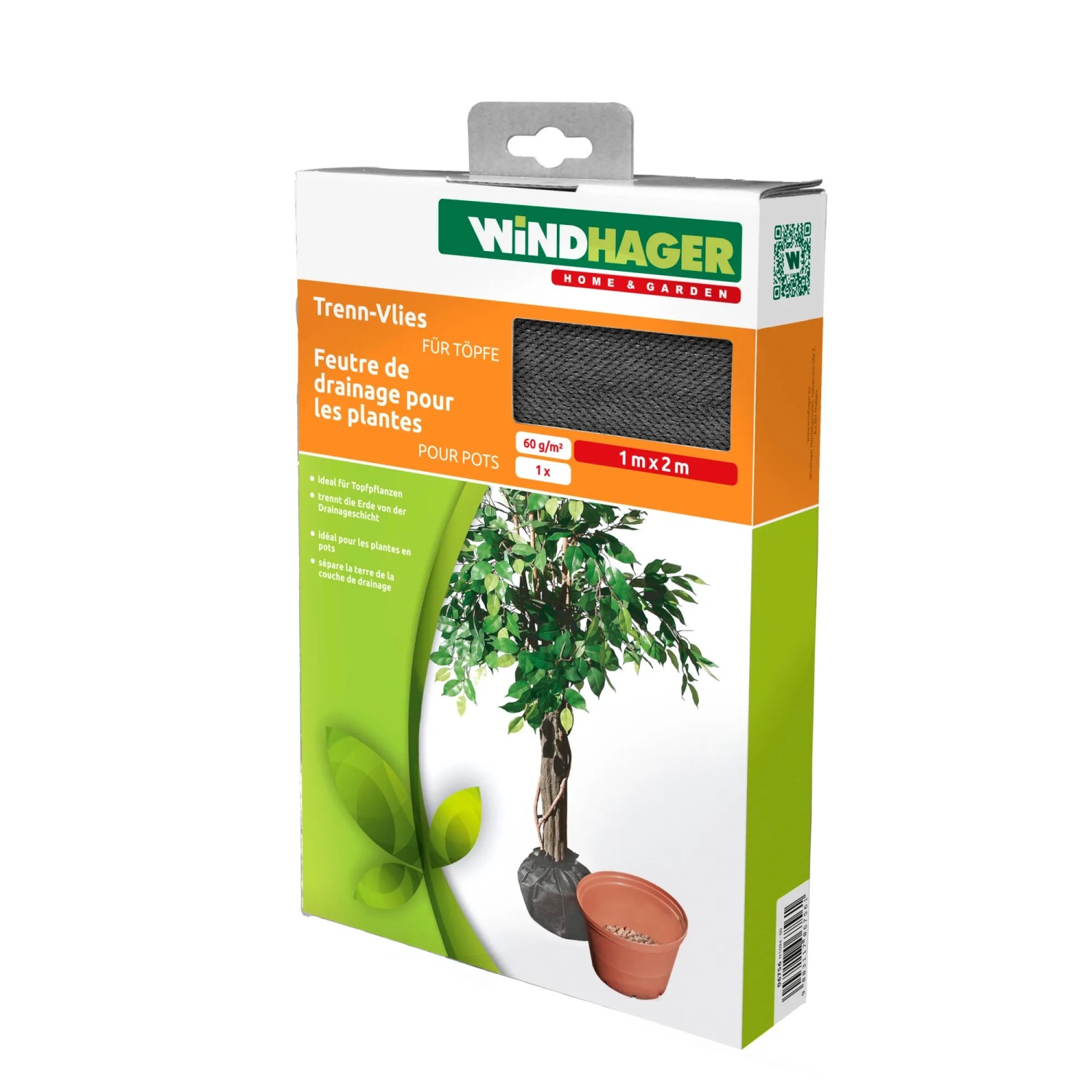 thuja beet Thuja 'Green Giant' Arborvitae main image 1