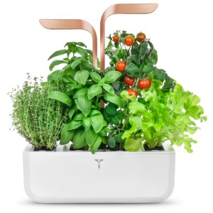 Véritable Smart Indoor Herb Garden in bianco/rame con basilico, timo, pomodori e lattuga.