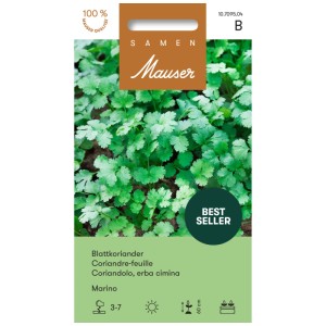 Bustina di semi di coriandolo Marino: Tipica spezia asiatica per giardino e cucina.