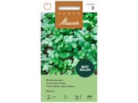 Blattkoriander Marino