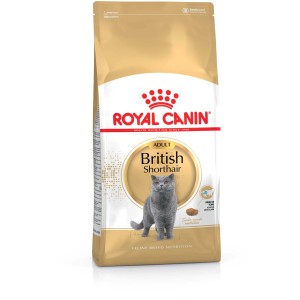 Royal Canin British Shorthair cibo secco per gatti, confezione da 2 kg per gatti British Shorthair.