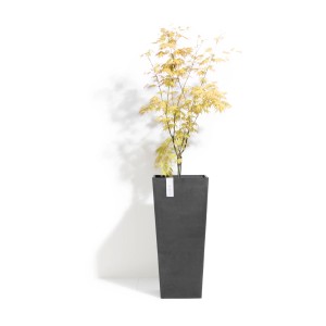 Haut pot de fleurs Ecopots Rotterdam gris foncé, 70 cm, avec plante. Idéal pour le jardin.