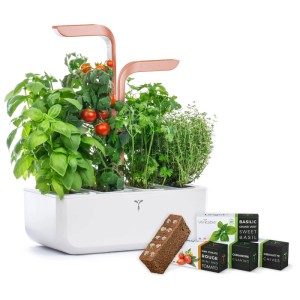 Véritable Smart Indoor Herb Garden, bianco/rame, con erbe aromatiche, pomodori e capsule di semi.